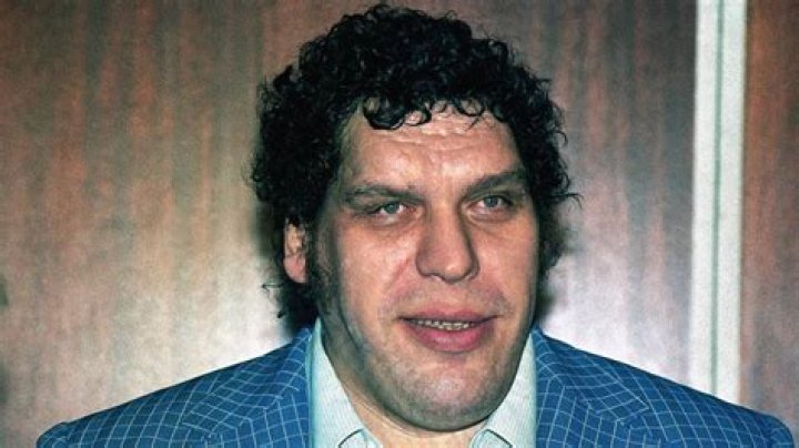 Andre the Giant Net Worth