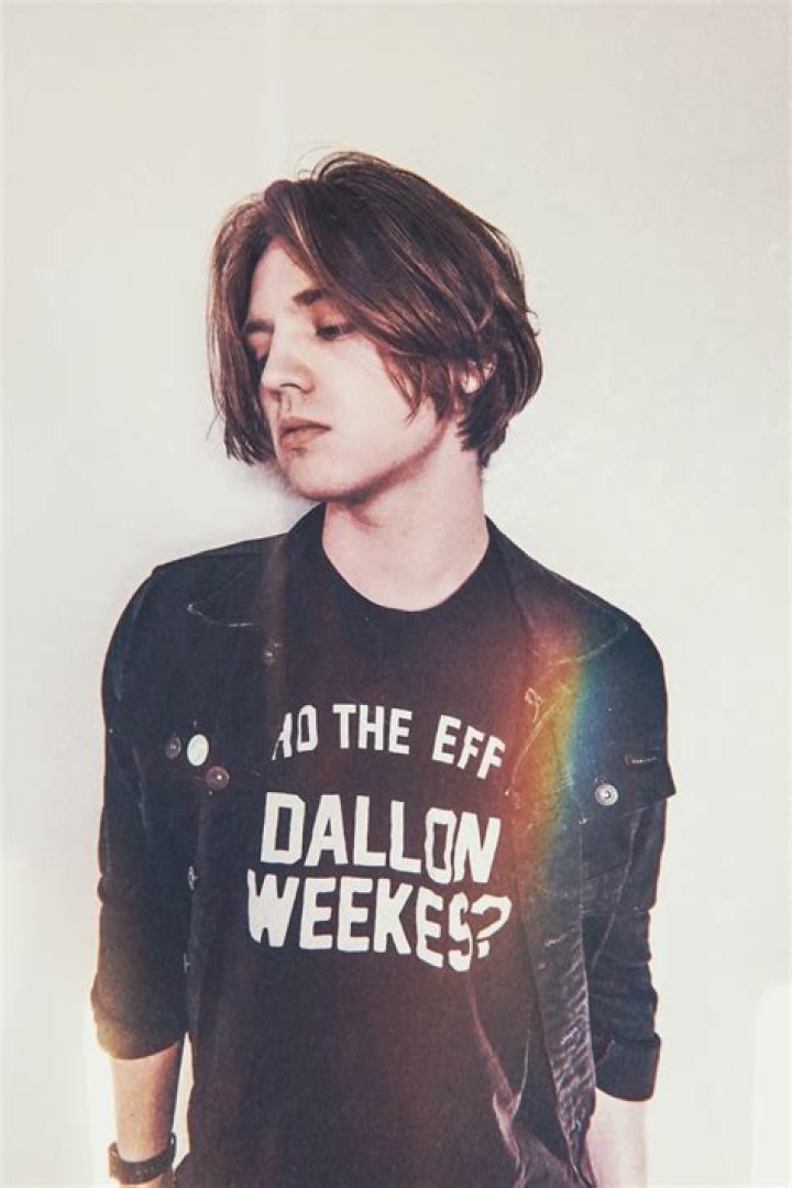 Dallon Weekes Net Worth | Celebrity Net Worth