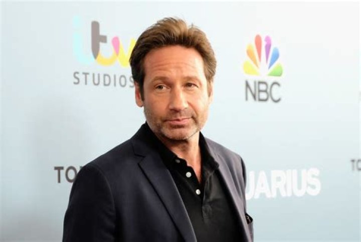 David Duchovny Net Worth | Celebrity Net Worth