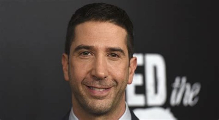 David Schwimmer Net Worth | Celebrity Net Worth