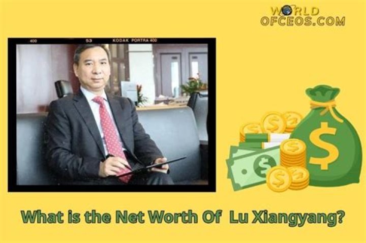 Lu Xiangyang Net Worth | Celebrity Net Worth