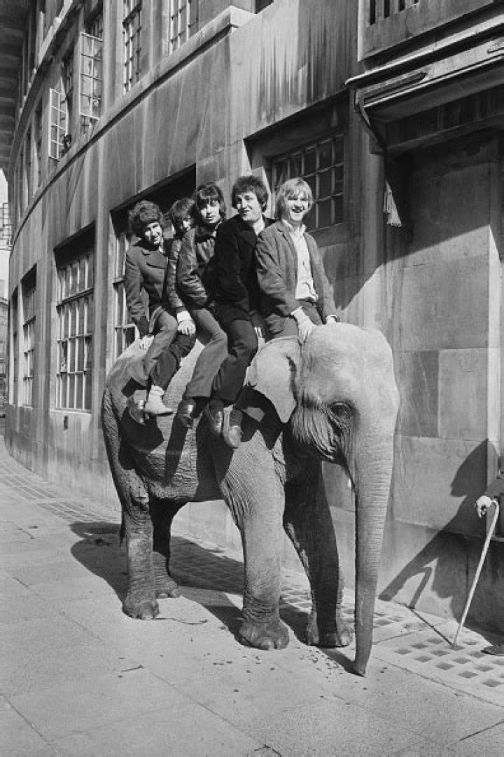 Nigel Olsson Net Worth | Celebrity Net Worth