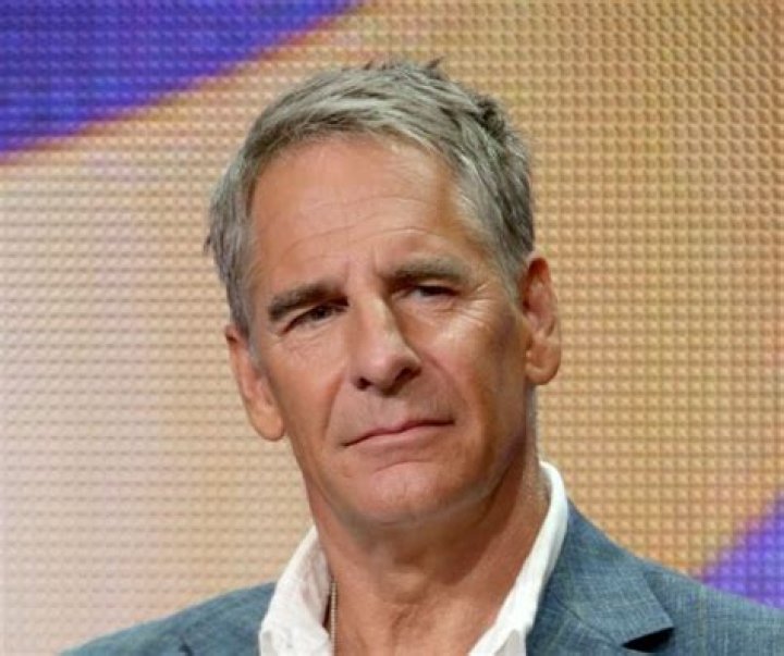 Scott Bakula Net Worth | Celebrity Net Worth