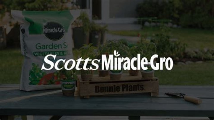 The CEO Of Scotts Miracle-Gro Is Turning To Another Type Of "Grass" To Make Money