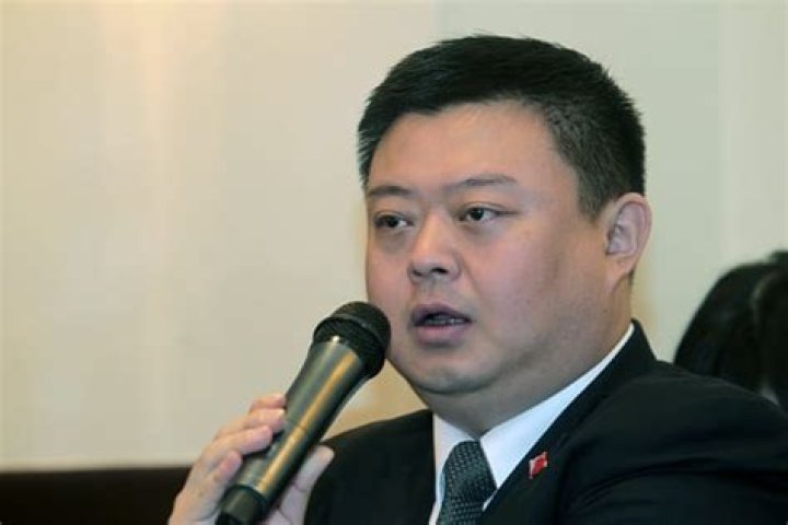 Wang Jing Net Worth | Celebrity Net Worth