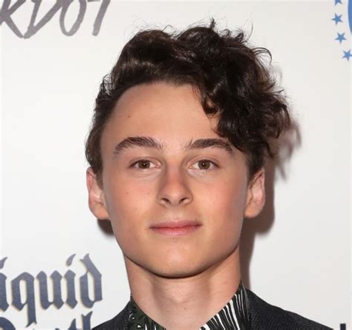 Wyatt Oleff Net Worth | Celebrity Net Worth